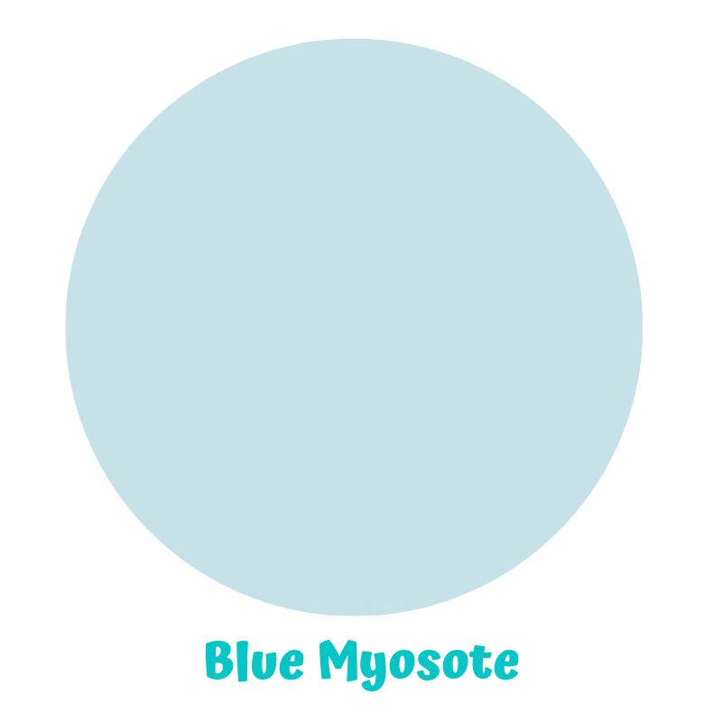 EN-blue_mysote.png