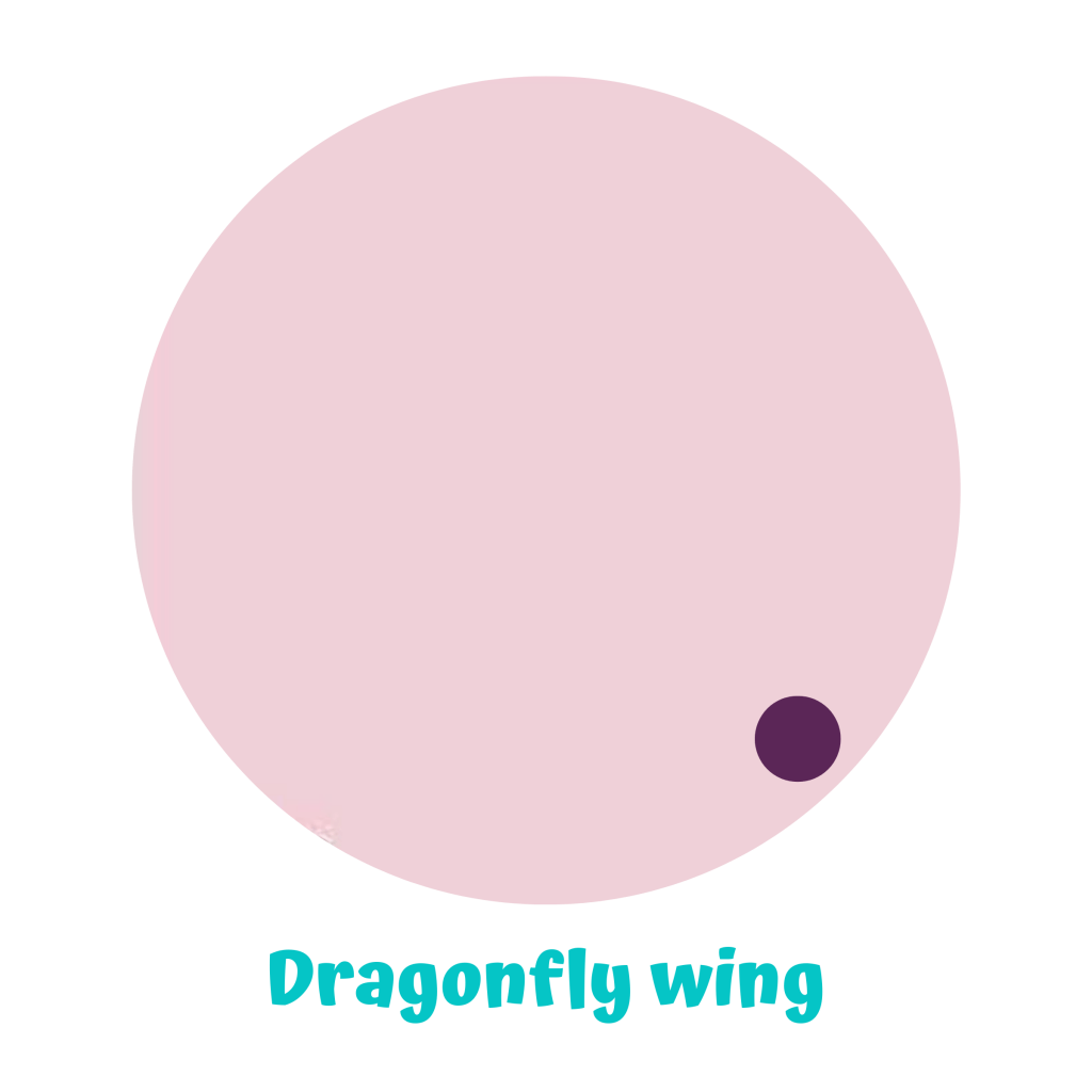 EN-dragonflywing.png