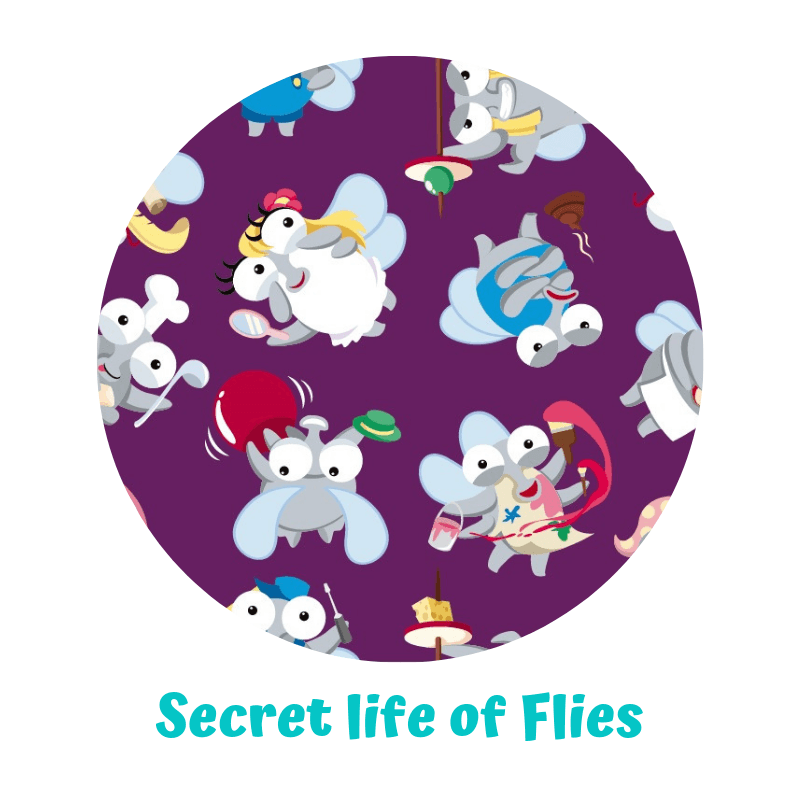 EN-secret_life_of_flies.png
